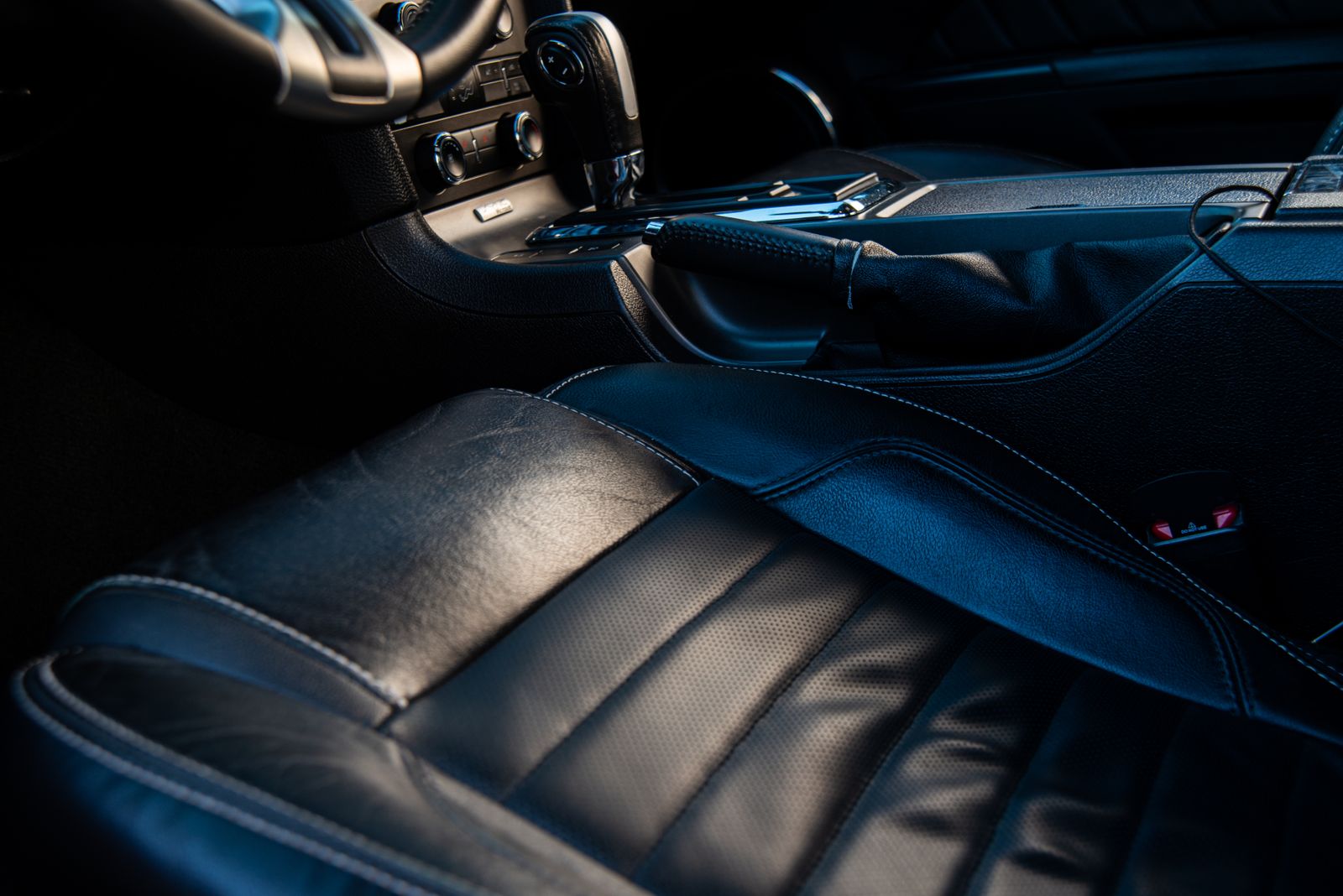 Dog hair in your car? A detailer's guide to getting it out